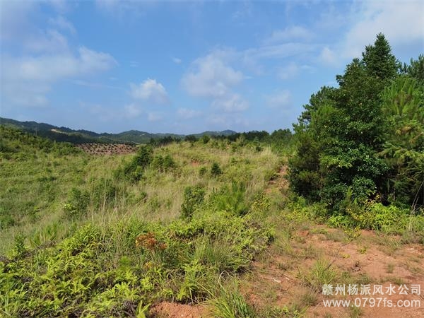 山南地区带着徒弟上山学杨公风水现场操作