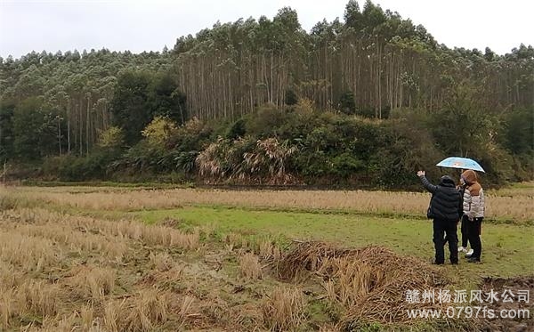 山南地区陈老师带着爱徒寻龙点穴