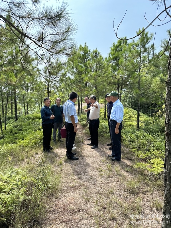 山南地区学杨公风水跟陈荣昌老师实在